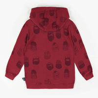 COLORFUL HOODED SWEATER, BOY