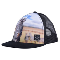 Snapback cap (Zebra)