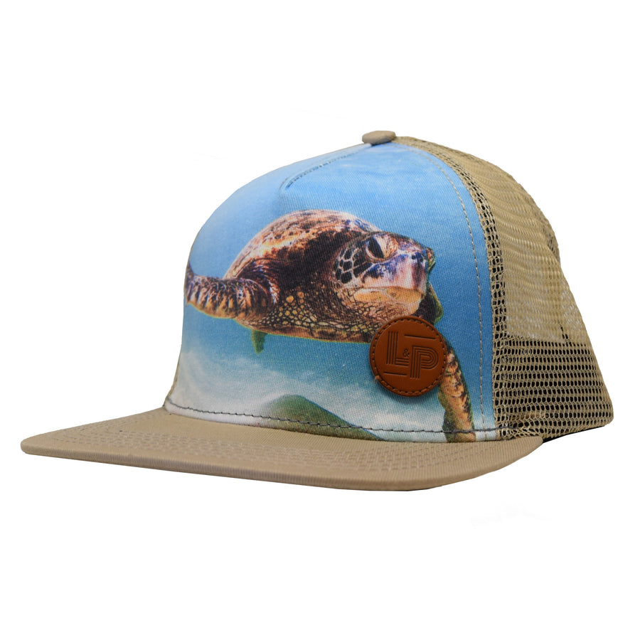 Snapback cap (Turtle)