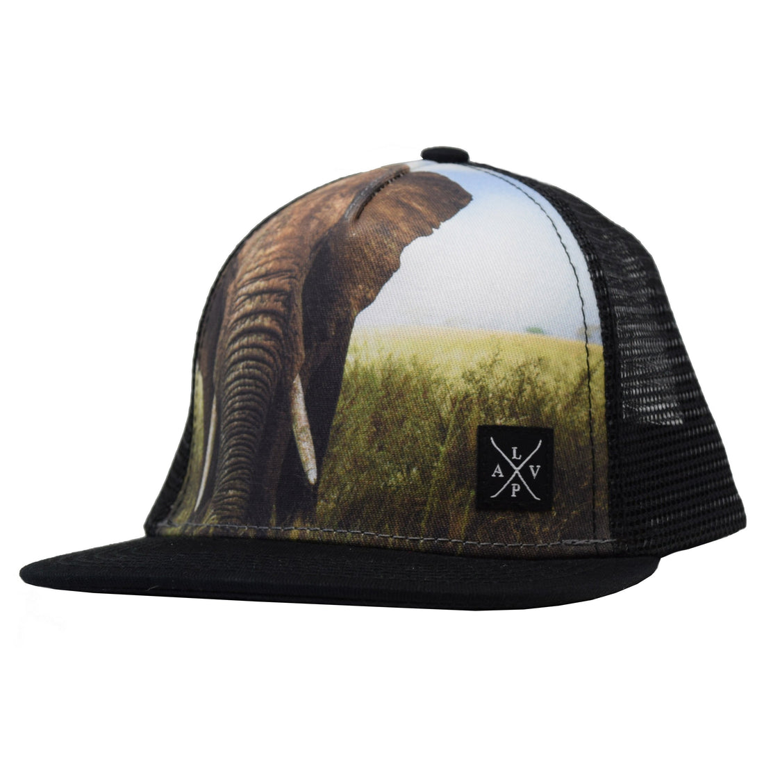 Snapback cap (Elephant)