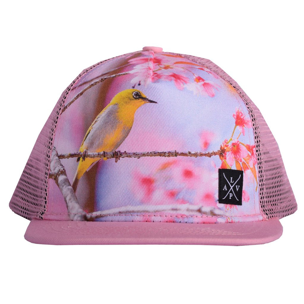 Snapback cap (Bird 2.0)