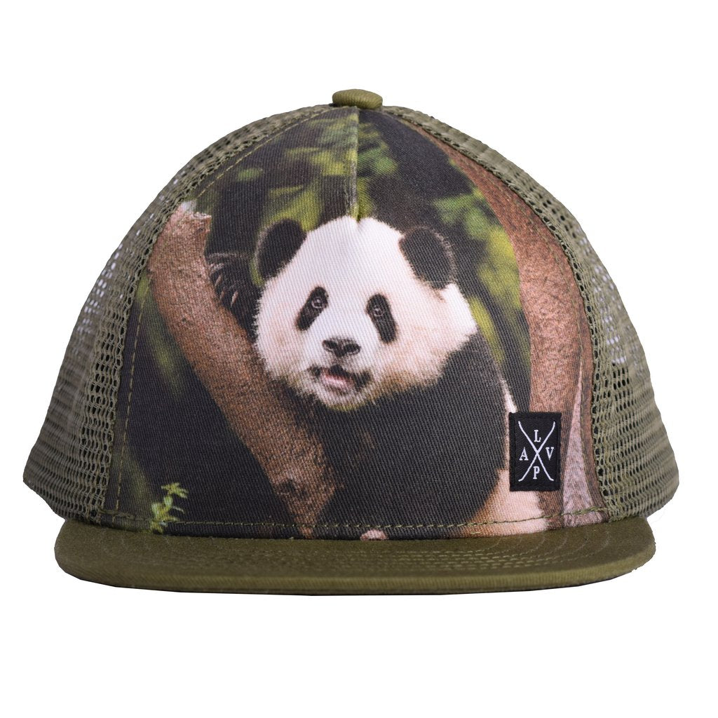 Snapback cap (Panda)